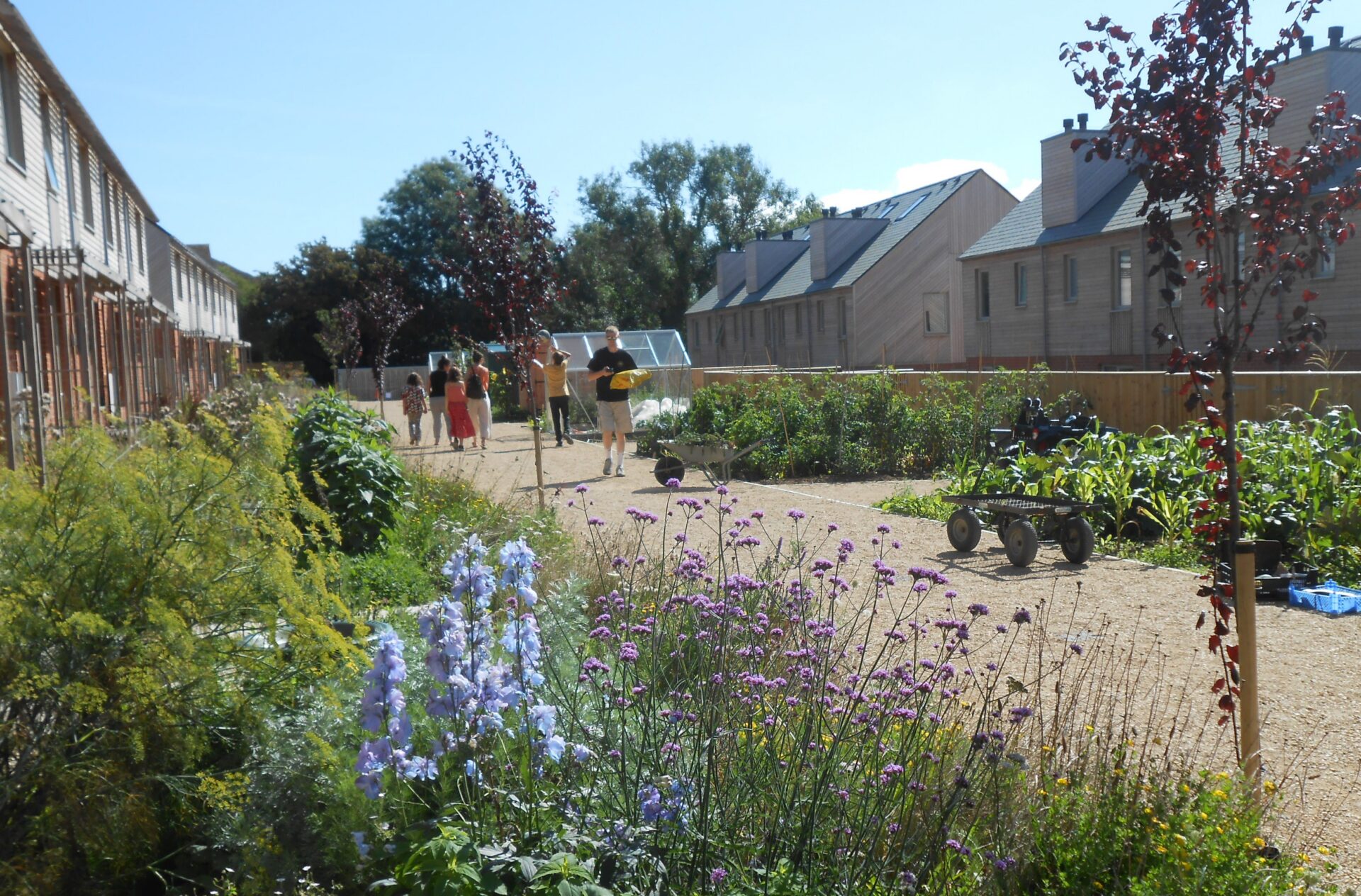 community-led housing scheme